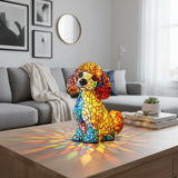 El encanto gracioso del caniche