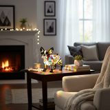 La elegancia de Boston