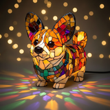 Corgi brillante