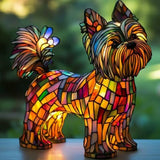 Brillante Yorkshire Terrier